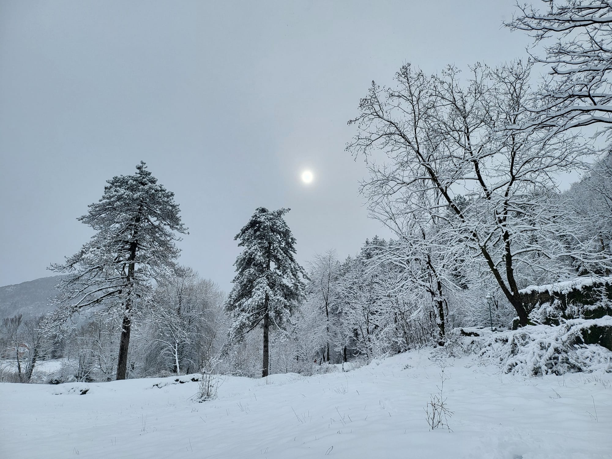 No tires for snow in Cetinje