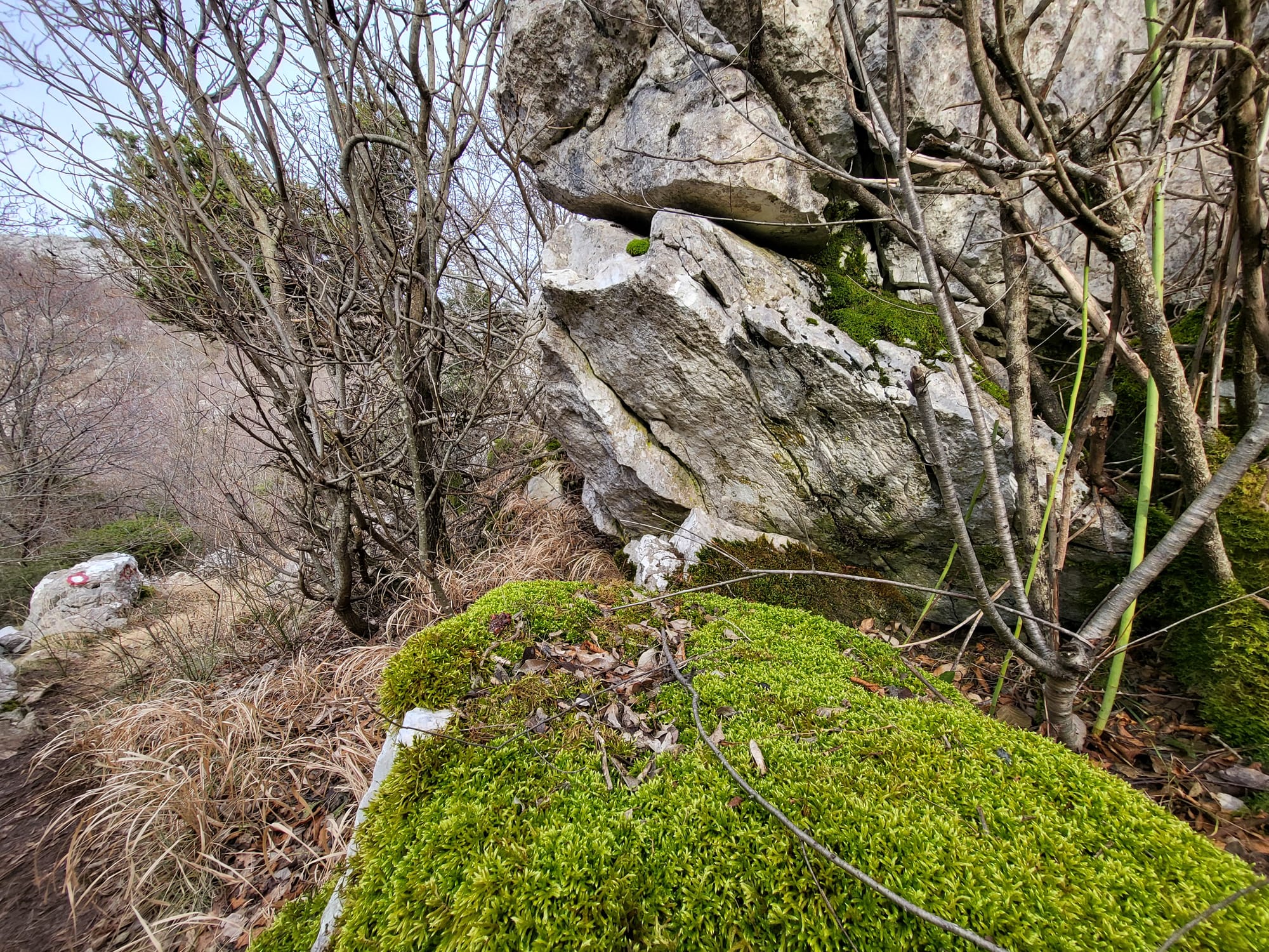 Pestingrad - The rock with a view